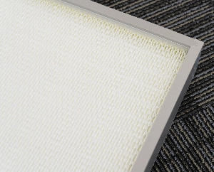 ULPA Filter (PTFE)
